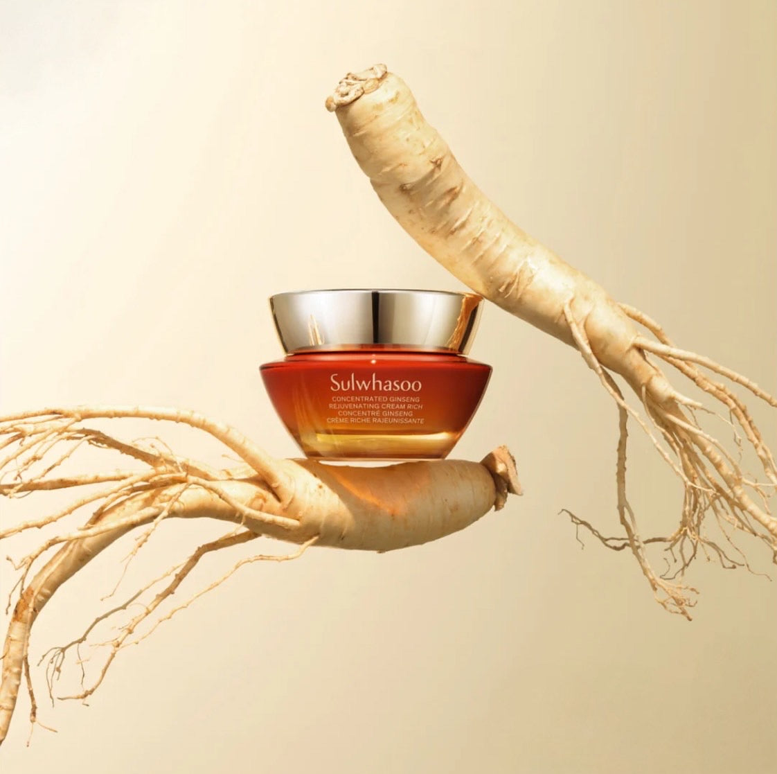 SULWHASOO Concentrated Ginseng Rejuvenating Cream Rich